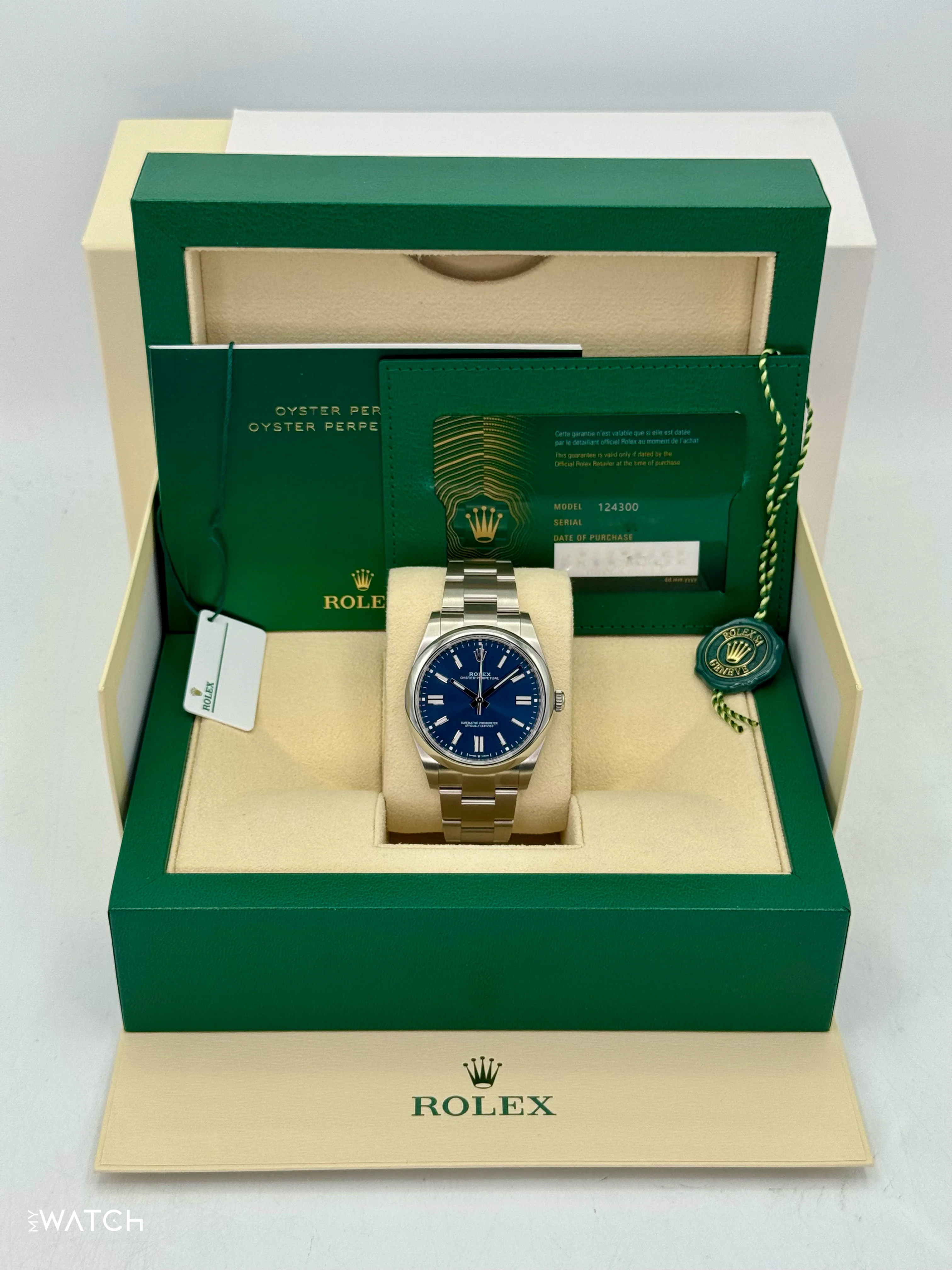 2025 Rolex Oyster Perpetual 41mm 124300 Blue Dial - Image 9