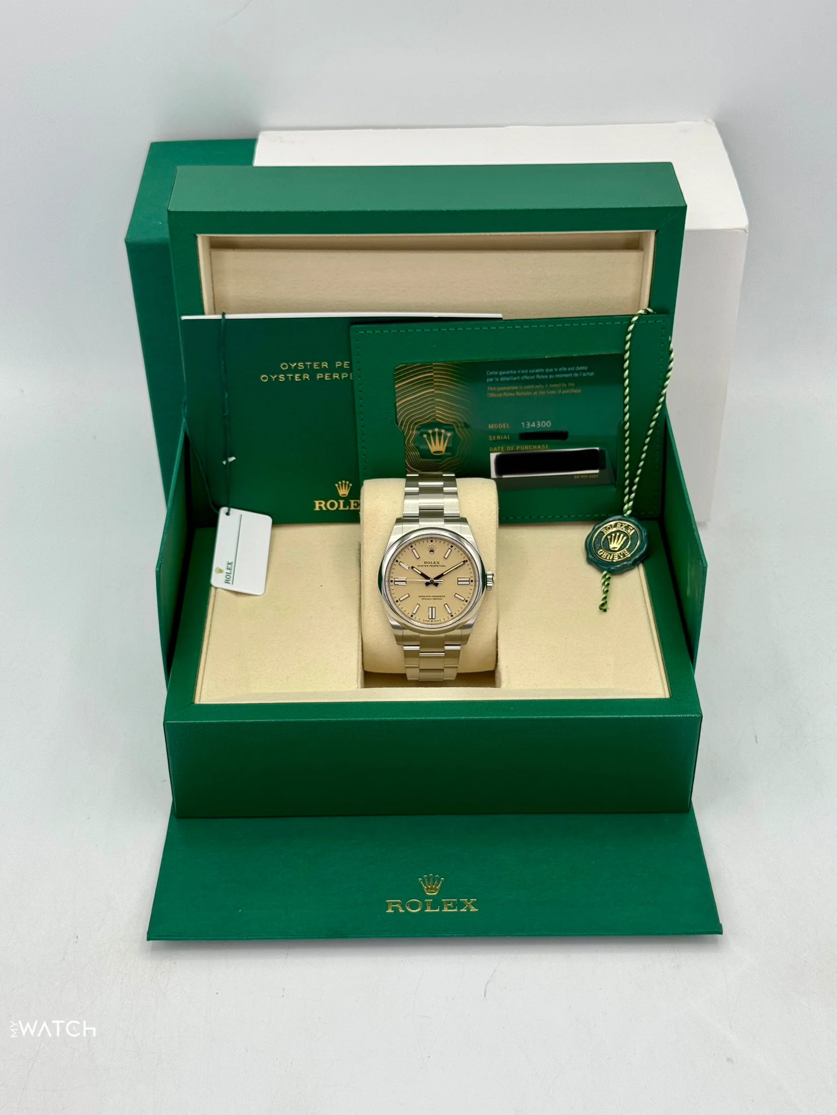 NEW 2025 Rolex Oyster Perpetual 41mm 134300 Beige Dial - Image 9