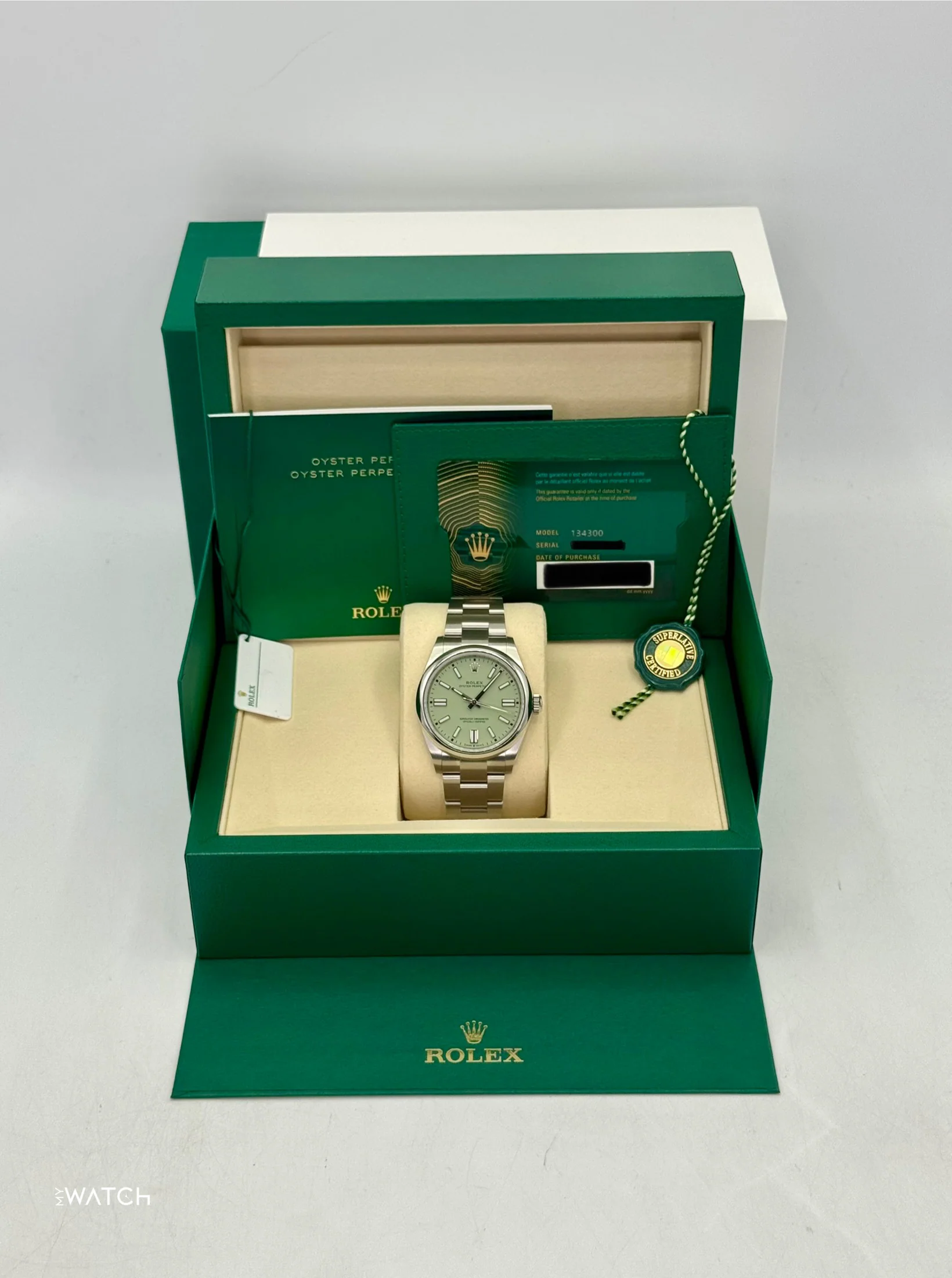 NEW 2025 Rolex Oyster Perpetual 41mm 134300 Pistachio Dial - Image 9