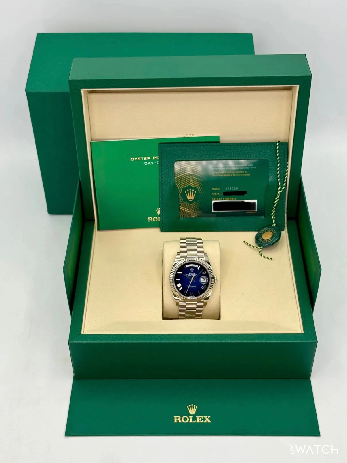 NEW 2026 Rolex Day-Date 40mm 228239 Presidential Blue Ombre Dial - Image 9