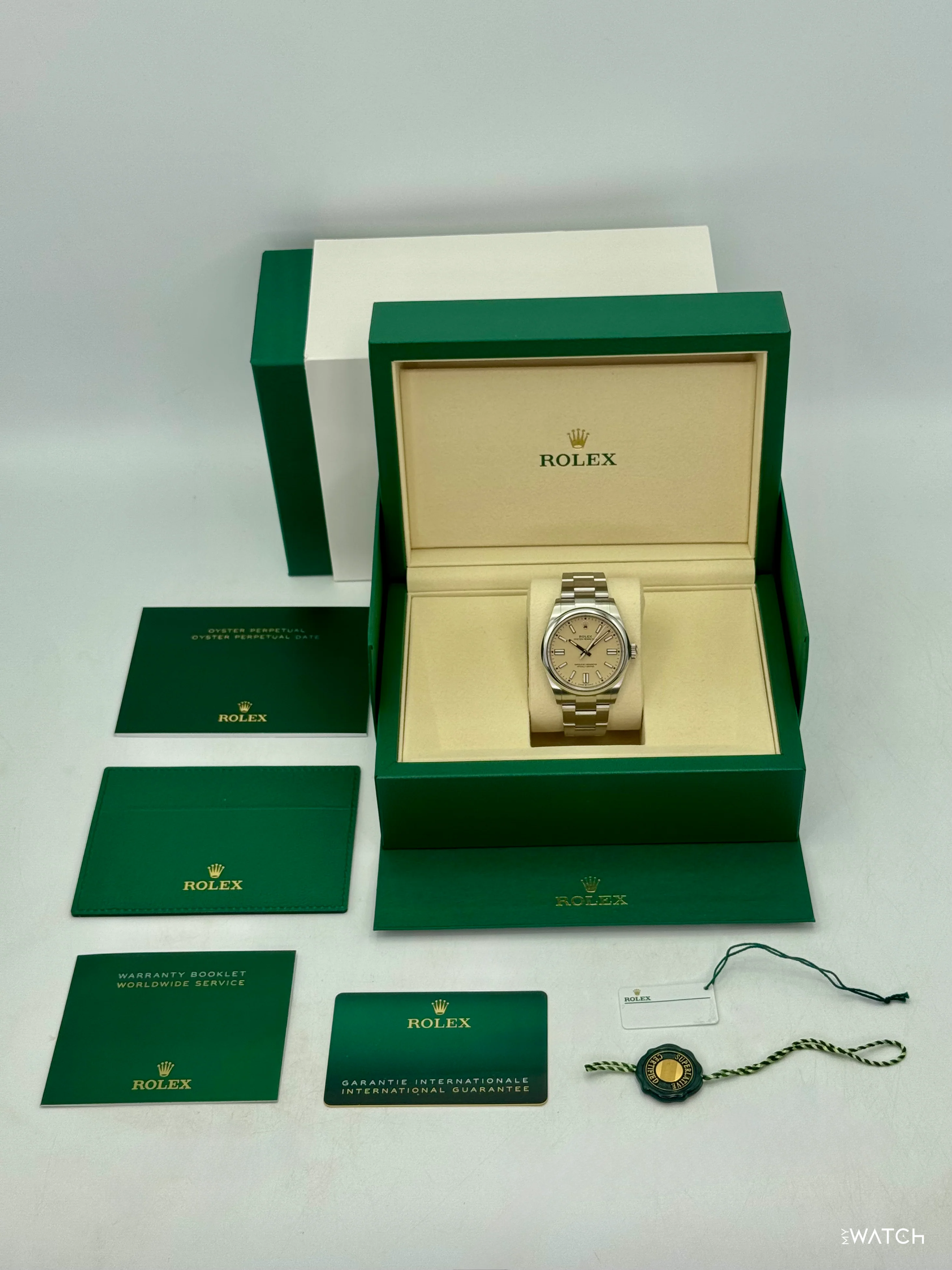 NEW 2026 Rolex Oyster Perpetual 41mm 134300 Beige Dial - Image 10